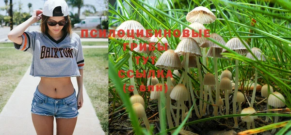 скорость Верхний Тагил