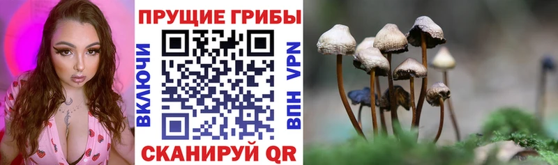 Псилоцибиновые грибы MAGIC MUSHROOMS  Кировск 
