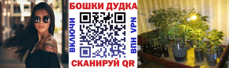 Шишки марихуана план наркошоп Кировск